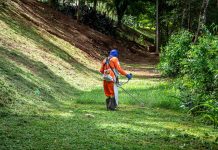 Fir pentru motocoasă: ce diametru este recomandat pentru utilizarea în gospodărie